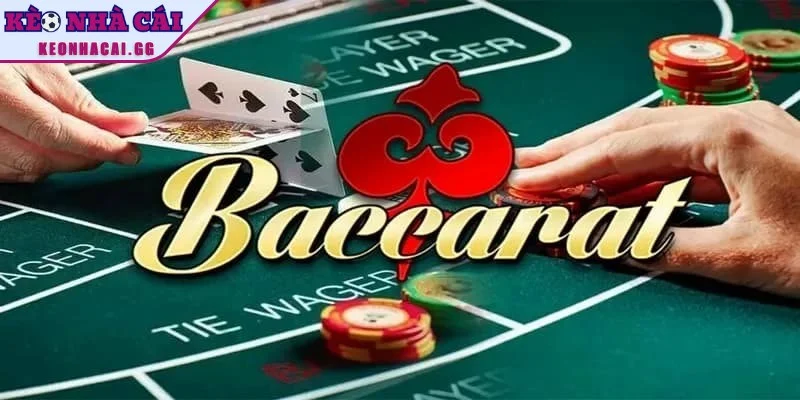 Hãy ưu tiên cược Banker hoặc Player để tăng cơ hội chiến thắng Hãy ưu tiên cược Banker hoặc Player để tăng cơ hội chiến thắng