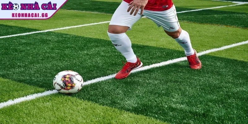 Nắm bắt cách tránh bẫy nhà cái hiệu quả Nắm bắt cách tránh bẫy nhà cái hiệu quả