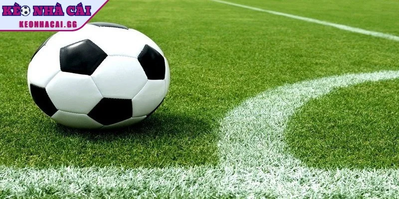 Hướng dẫn các cách né kèo dụ hiệu quả nhất Hướng dẫn các cách né kèo dụ hiệu quả nhất