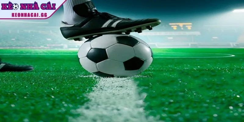 Lý do dân cược cần biết cách né kèo dụ Lý do dân cược cần biết cách né kèo dụ