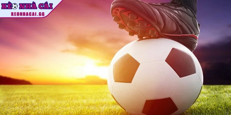 Tìm hiểu định nghĩa về kèo dụ trong cá cược bóng đá Tìm hiểu định nghĩa về kèo dụ trong cá cược bóng đá