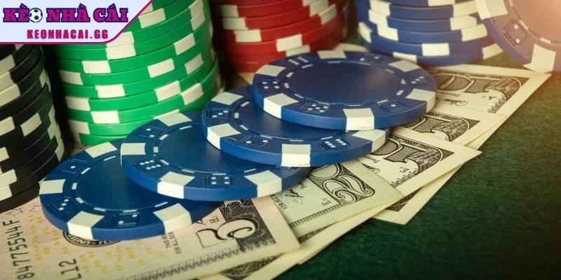 Tuân thủ tỷ lệ cược đã thiết lập là nguyên tắc quan trọng cần ghi nhớ Tuân thủ tỷ lệ cược đã thiết lập là nguyên tắc quan trọng cần ghi nhớ