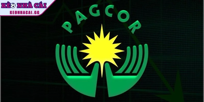 Chứng chỉ hoạt động mang ý nghĩa đặc biệt quan trọng số 1 Chứng chỉ hoạt động mang ý nghĩa đặc biệt quan trọng số 1