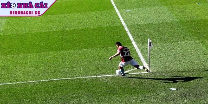 Kèo tổng phạt góc dự đoán số lần thực hiện so với mức nhà cái đưa ra Kèo tổng phạt góc dự đoán số lần thực hiện so với mức nhà cái đưa ra