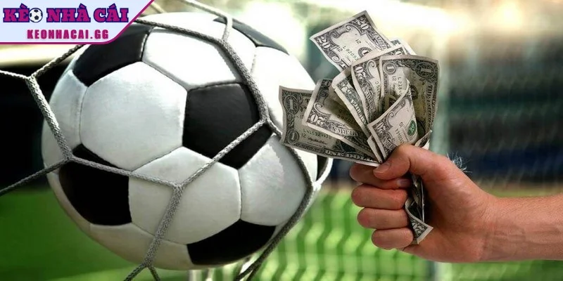 Lý do mọi người cần nắm rõ các lưu ý khi cược bóng đá Lý do mọi người cần nắm rõ các lưu ý khi cược bóng đá