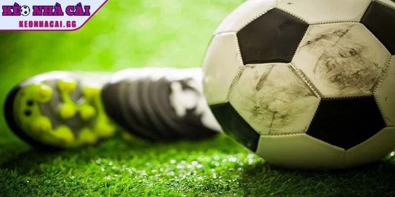 Chia sẻ các mẹo tránh bẫy kèo hiệu quả Chia sẻ các mẹo tránh bẫy kèo hiệu quả