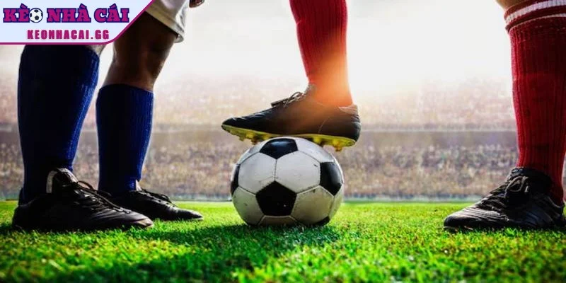 Lưu ý quan trọng khi áp dụng mẹo tránh bẫy kèo Lưu ý quan trọng khi áp dụng mẹo tránh bẫy kèo