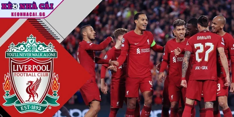 Tổng quan chung về tin chuyển nhượng Liverpool Tổng quan chung về tin chuyển nhượng Liverpool