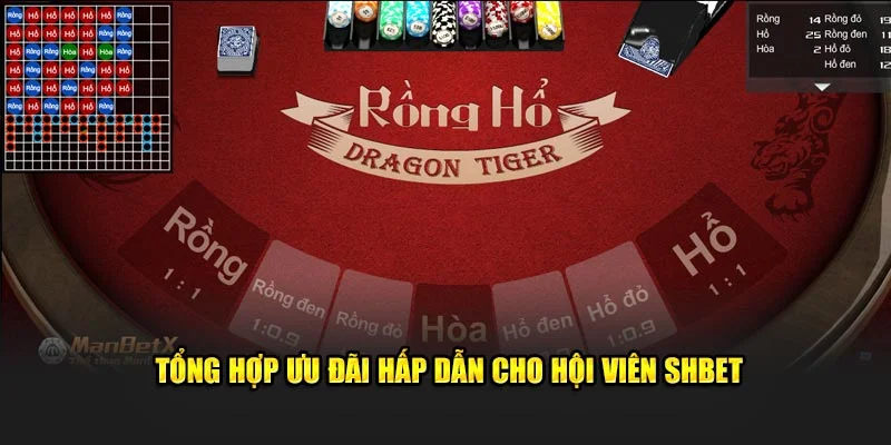 Tổng hợp ưu đãi hấp dẫn cho hội viên SHBET Tổng hợp ưu đãi hấp dẫn cho hội viên SHBET